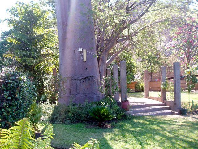 Nkhudzi Beach Lodge Nkudzi Экстерьер фото