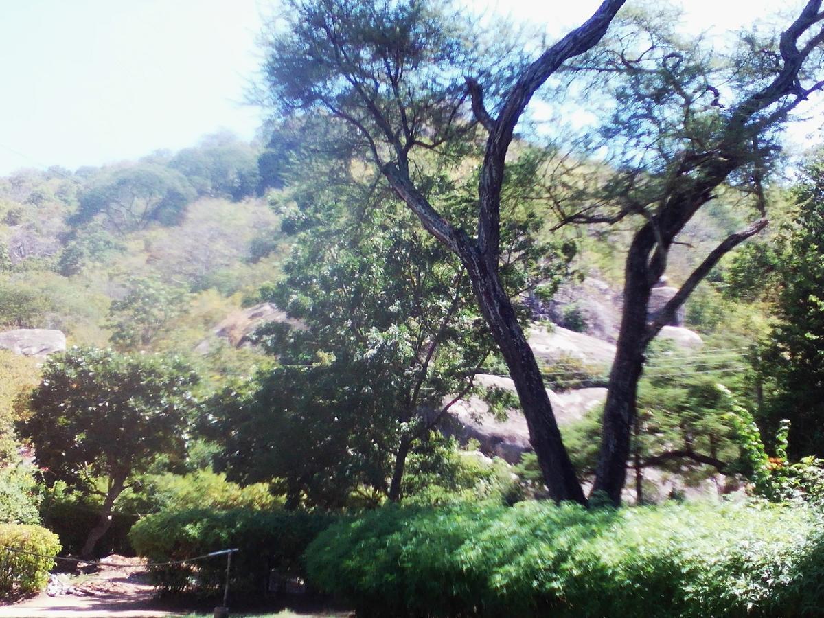 Nkhudzi Beach Lodge Nkudzi Экстерьер фото